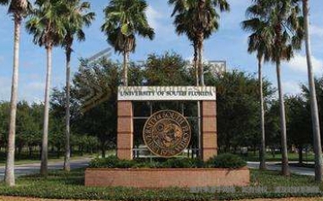 南佛罗里达大学:美国南佛罗里达大学怎么样？